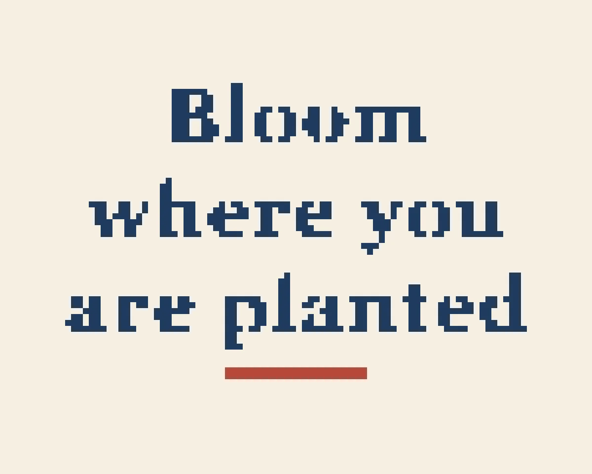 The saying "Bloom where you are planted" in bold navy serif letters on cream, with a short red line below