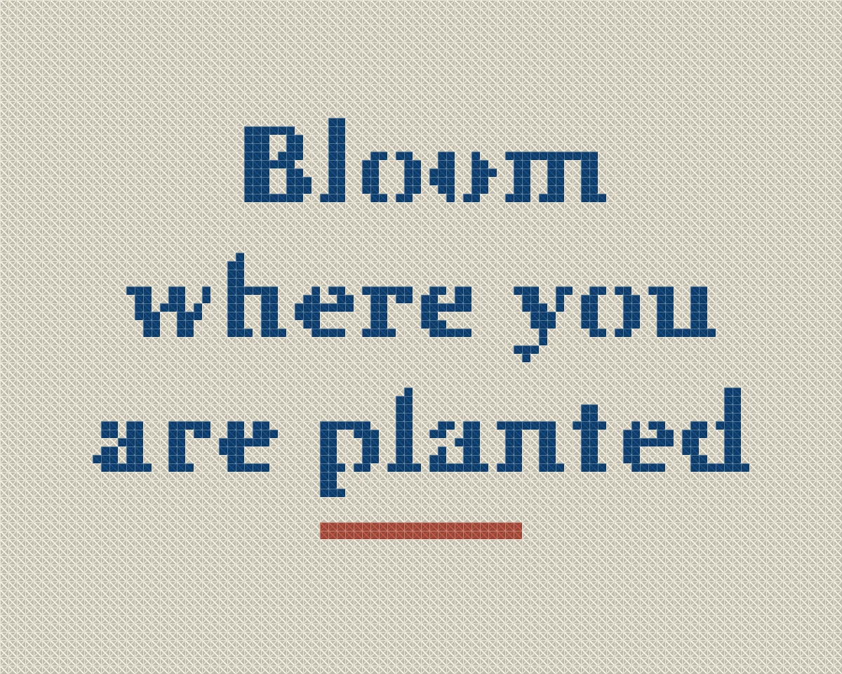 Cross stitch pattern of the saying "Bloom where you are planted" in bold letters