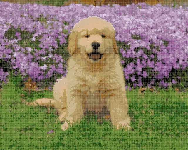 Cross stitch pattern of a golden retriever puppy in front of purple flowers