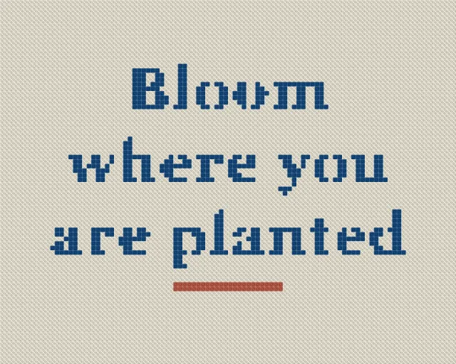 Cross stitch pattern of the saying "Bloom where you are planted" in bold letters